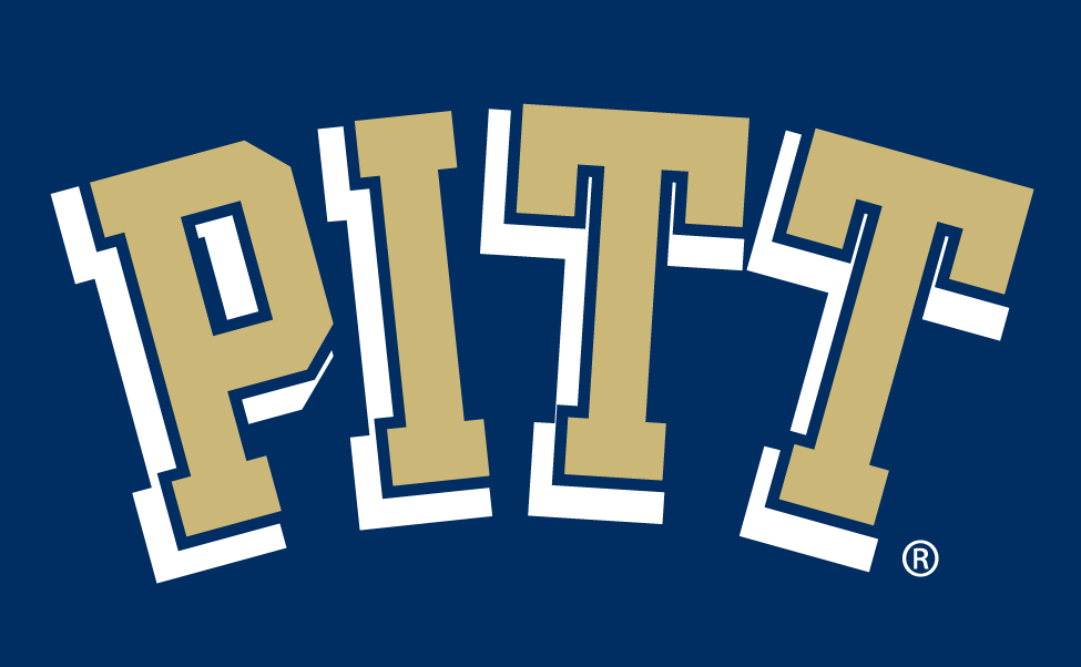 Pittsburgh Panthers 1997-2015 Wordmark Logo DIY iron on transfer (heat transfer)
